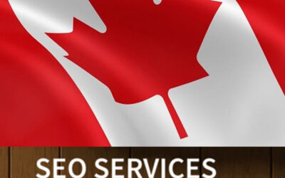 Why You Need a Top SEO Expert in Canada for Your Business Success