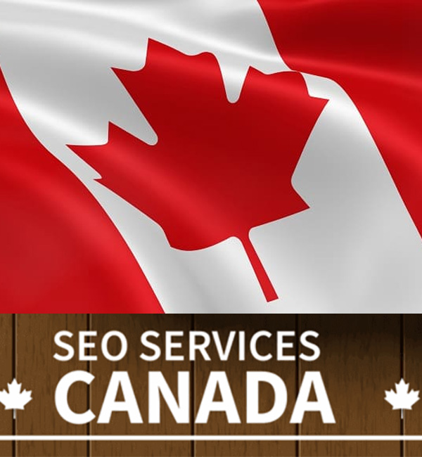 Why You Need a Top SEO Expert in Canada for Your Business Success